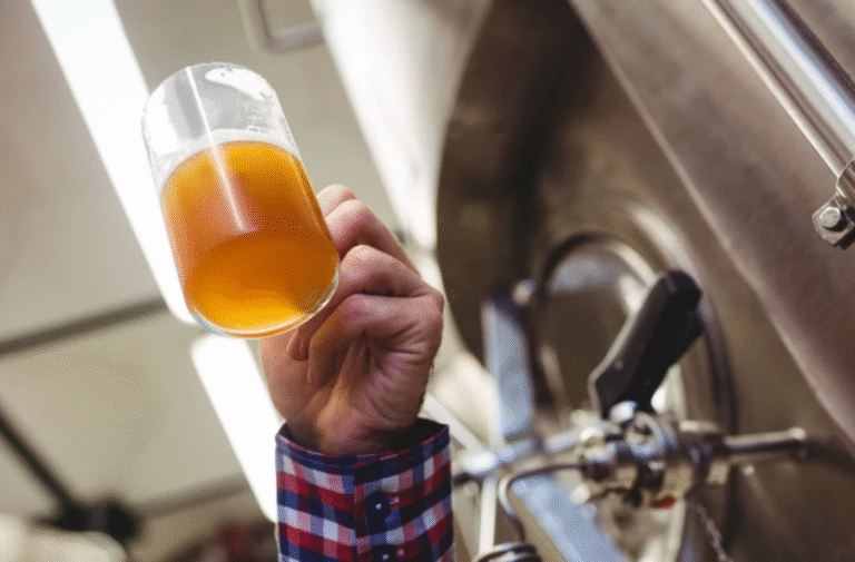 Kada su ljudi počeli da piju alkoholna pića: Neki istorijski dokazi sugerišu da je pivo postojalo pre 13.000 godina